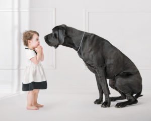 Dog and toddler