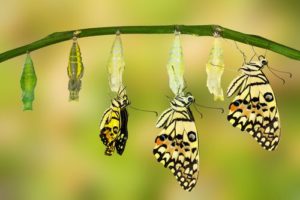 Leading a change - do you change first or last?