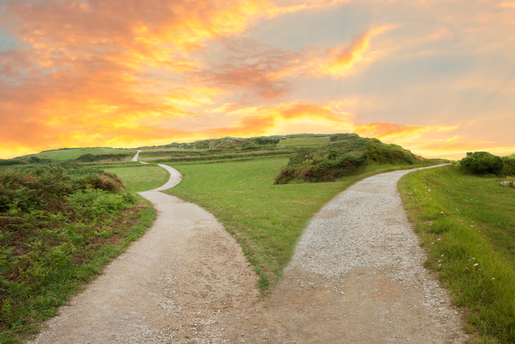 Two different roads leading to leadership influence